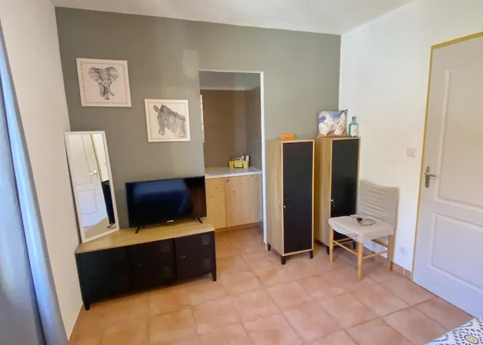 Les Cerisiers En Provence * Fauch